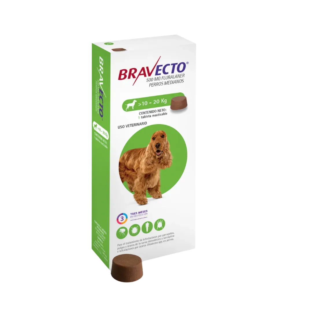 bravecito