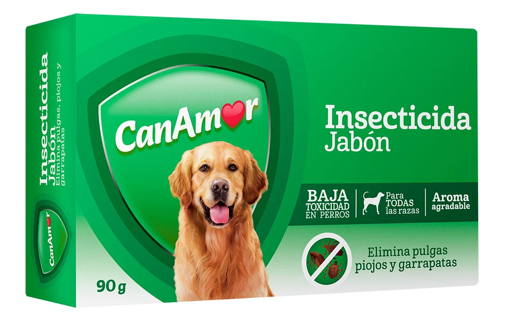 can amor