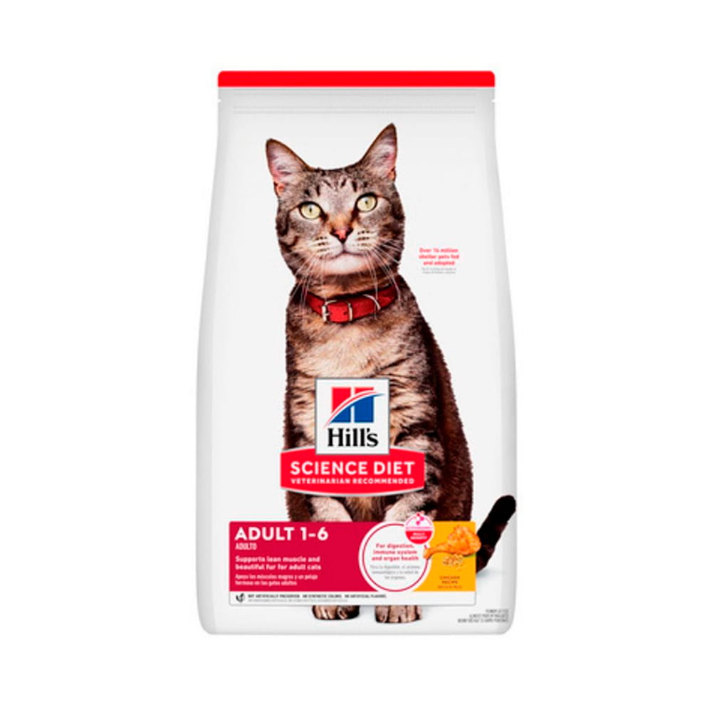 hills gato care