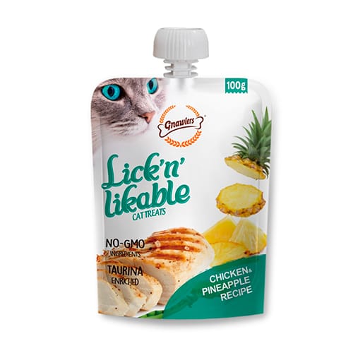 snaack cat pina